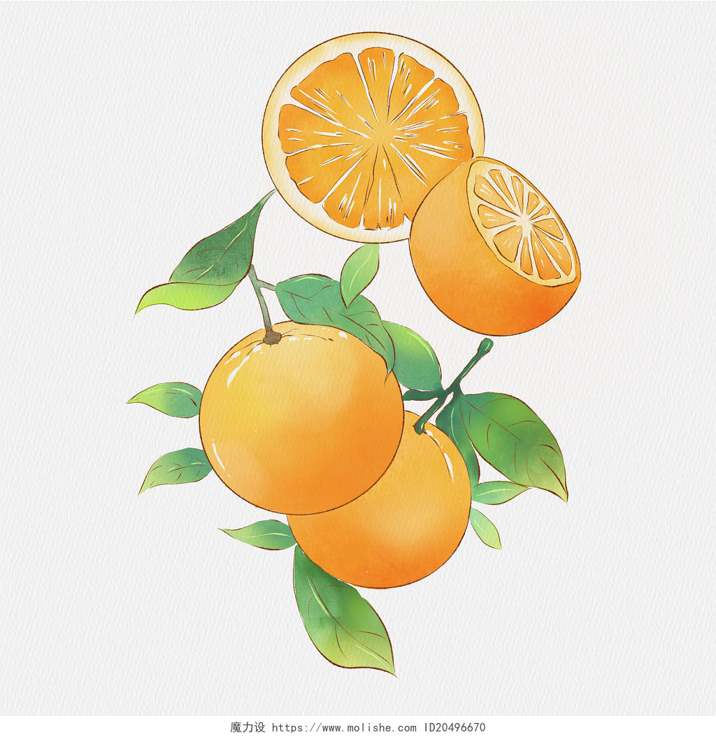 橙子水彩橙子橙子元素 秋天 黄色 丰收季节水果卡通元素